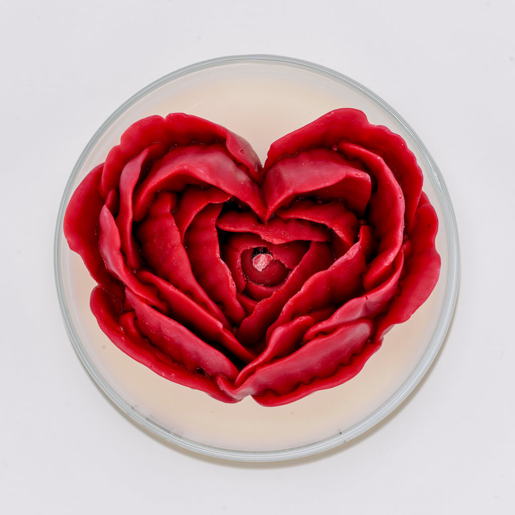 Cœur en Fleur